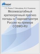 Мезомасштабный краткосрочный прогноз погоды в Гидрометцентре России на примере COSMO-RU