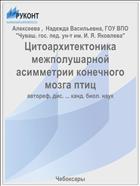 Цитоархитектоника межполушарной асимметрии конечного мозга птиц