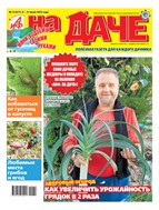 АиФ. На даче
