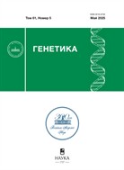 Генетика