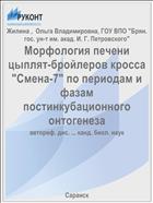 Морфология печени цыплят-бройлеров кросса 