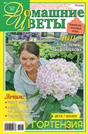 Домашние цветы