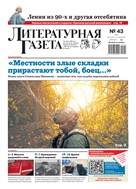 Литературная газета №43* 2025
