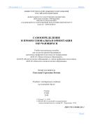 Самоопределение и профессиональная ориентация обучающихся