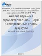 Анализ переноса агробактериальной Т-ДНК в генеративные клетки кукурузы