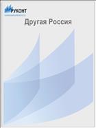 Другая Россия