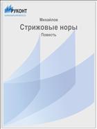 Стрижовые норы