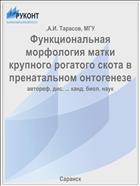 Функциональная морфология матки крупного рогатого скота в пренатальном онтогенезе
