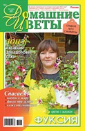 Домашние цветы