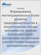 Формирование институциональных основ развития предпринимательства в энергетическом секторе экономики (на примере Камчатского края): диссертация на соискание ученой степени кандидата экономических наук