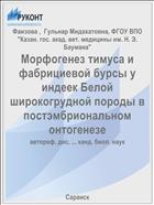 Морфогенез тимуса и фабрициевой бурсы у индеек Белой широкогрудной породы в постэмбриональном онтогенезе