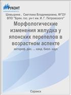Морфологические изменения желудка у японских перепелов в возрастном аспекте