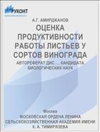 ОЦЕНКА ПРОДУКТИВНОСТИ РАБОТЫ ЛИСТЬЕВ У СОРТОВ ВИНОГРАДА