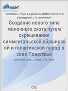 Создание нового типа молочного скота путем скрещивания симментальской,айрширской и голштинской пород в зоне Поволжья