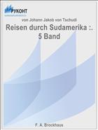 Reisen durch Sudamerika :. 5 Band
