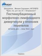 Постинкубационный  морфогенез лимфоидного дивертикула у японских перепелов