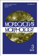 Морфология №3 2018