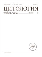 Цитология