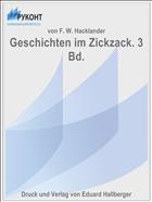 Geschichten im Zickzack. 3 Bd.
