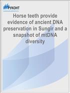 Horse teeth provide evidence of ancient DNA preservation in Sungir and a snapshot of mtDNA diversity