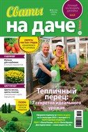 Сваты на даче