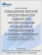 ПОВЫШЕНИЕ МЯСНОЙ ПРОДУКТИВНОСТИ СВИНЕЙ ПРИ ЧИСТОПОРОДНОМ РАЗВЕДЕНИИ И СКРЕЩИВАНИИ В УСЛОВИЯХ ПОВОЛЖЬЯ