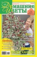 Домашние цветы