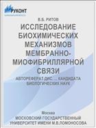 ИССЛЕДОВАНИЕ БИОХИМИЧЕСКИХ МЕХАНИЗМОВ МЕМБРАННО-МИОФИБРИЛЛЯРНОЙ СВЯЗИ