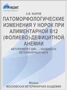 ПАТОМОРФОЛОГИЧЕСКИЕ ИЗМЕНЕНИЯ У НОРОК ПРИ АЛИМЕНТАРНОЙ В12(ФОЛИЕВО)-ДЕФИЦИТНОЙ АНЕМИИ