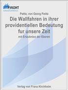 Die Wallfahren in ihrer providentiellen Bedeutung fur unsere Zeit