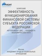 ЭФФЕКТИВНОСТЬ ФУНКЦИОНИРОВАНИЯ ФИНАНСОВОЙ СИСТЕМЫ СУБЪЕКТА РОССИЙСКОЙ ФЕДЕРАЦИИ