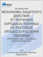 МЕХАНИЗМЫ ЗАЩИТНОГО ДЕЙСТВИЯ АГГЛЮТИНИНА ЗАРОДЫША ПШЕНИЦЫ НА РОСТОВЫЕ ПРОЦЕССЫ РАСТЕНИЙ ПШЕНИЦЫ