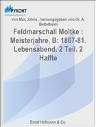 Feldmarschall Moltke : Meisterjahre, B: 1867-81. Lebensabend. 2 Teil. 2 Halfte