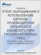 ОТБОР, ВЫРАЩИВАНИЕ И ИСПОЛЬЗОВАНИЕ БАРАНОВ-ПРОИЗВОДИТЕЛЕЙ ПАРХАРСКОГО ЗАВОДСКОГО ТИПА ГИССАРСКОЙ ПОРОДЫ ОВЕЦ