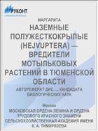 НАЗЕМНЫЕ ПОЛУЖЕСТКОКРЫЛЫЕ (HEJVUPTERA) — ВРЕДИТЕЛИ МОТЫЛЬКОВЫХ РАСТЕНИЙ В ТЮМЕНСКОЙ ОБЛАСТИ