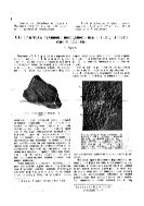 Об остатках личинок пелеципод из спаниодонтовых слоев Кавказа