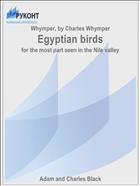 Egyptian birds