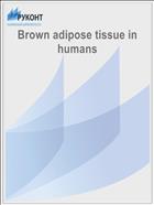 Brown adipose tissue in humans