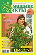 Домашние цветы