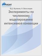 Эксперименты по численному моделированию интенсивной конвекции