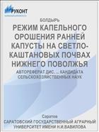 РЕЖИМ КАПЕЛЬНОГО ОРОШЕНИЯ РАННЕЙ КАПУСТЫ НА СВЕТЛО-КАШТАНОВЫХ ПОЧВАХ НИЖНЕГО ПОВОЛЖЬЯ
