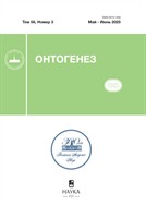 Онтогенез