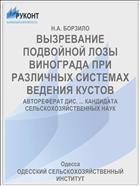 ВЫЗРЕВАНИЕ ПОДВОЙНОЙ ЛОЗЫ ВИНОГРАДА ПРИ РАЗЛИЧНЫХ СИСТЕМАХ ВЕДЕНИЯ КУСТОВ