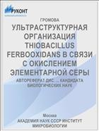 УЛЬТРАСТРУКТУРНАЯ ОРГАНИЗАЦИЯ THIOBACILLUS FERBOOXIDANS В СВЯЗИ С ОКИСЛЕНИЕМ ЭЛЕМЕНТАРНОЙ СЕРЫ