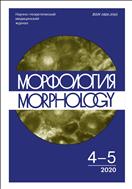 Морфология