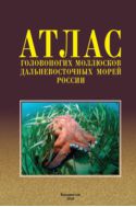 Атлас головоногих моллюсков дальневосточных морей России